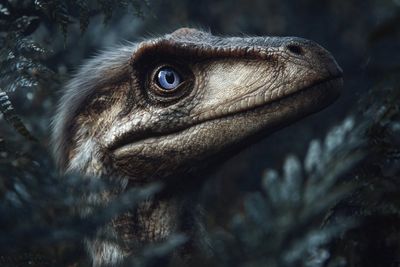 Feathered Terror of the Twilight Forest