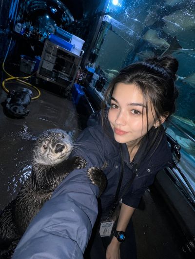 Zookeeper's flash captures playful otter cling and aquarium chaos
