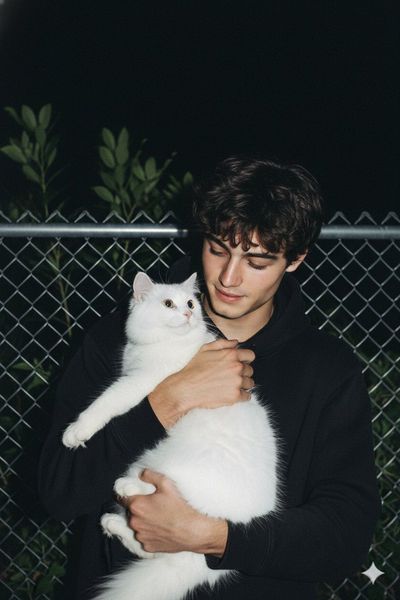 Heartfelt Night: Man and Cat Connection