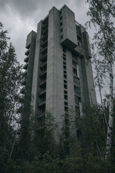 Raw Brutalism: Nature's Embrace