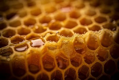 Whispers in the Details: Extreme Macro Magic