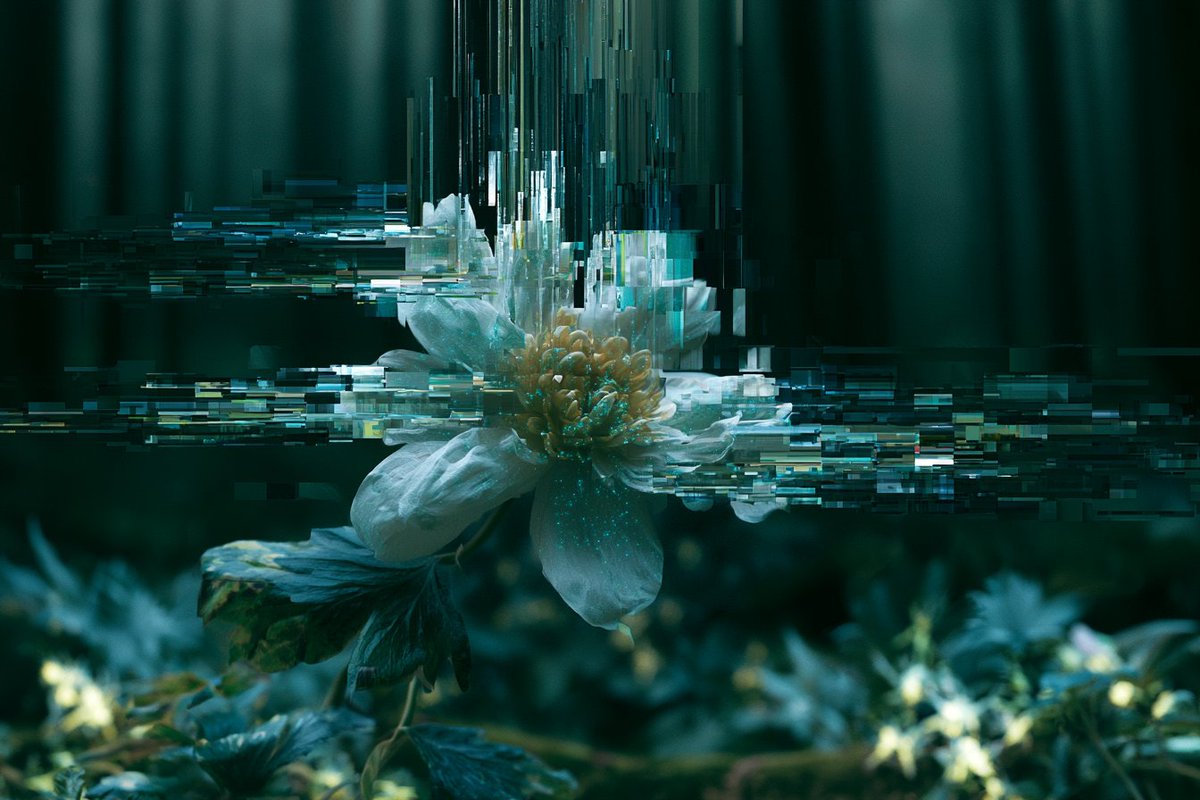 Visual Symphony of Fragmented Echoes