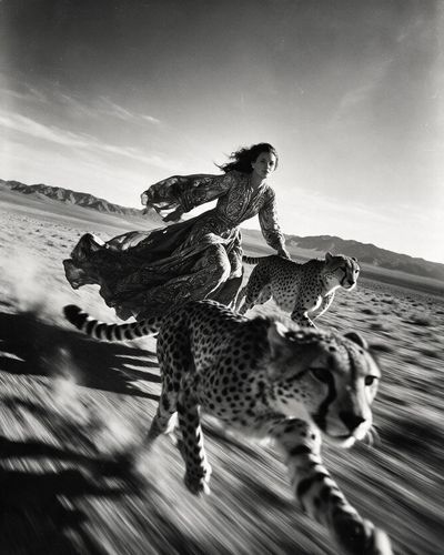 Woman in flowing couture rides with cheetahs across desert.