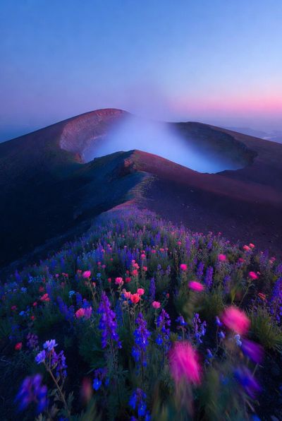 Serenity on a Volcanic Meadow at Golden Hour