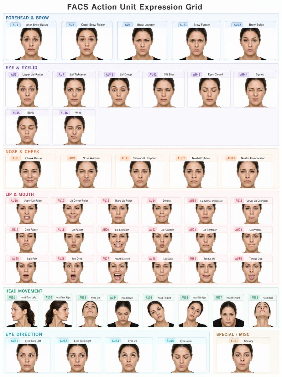 Comprehensive FACS Action Unit Grid for Realistic Expressions