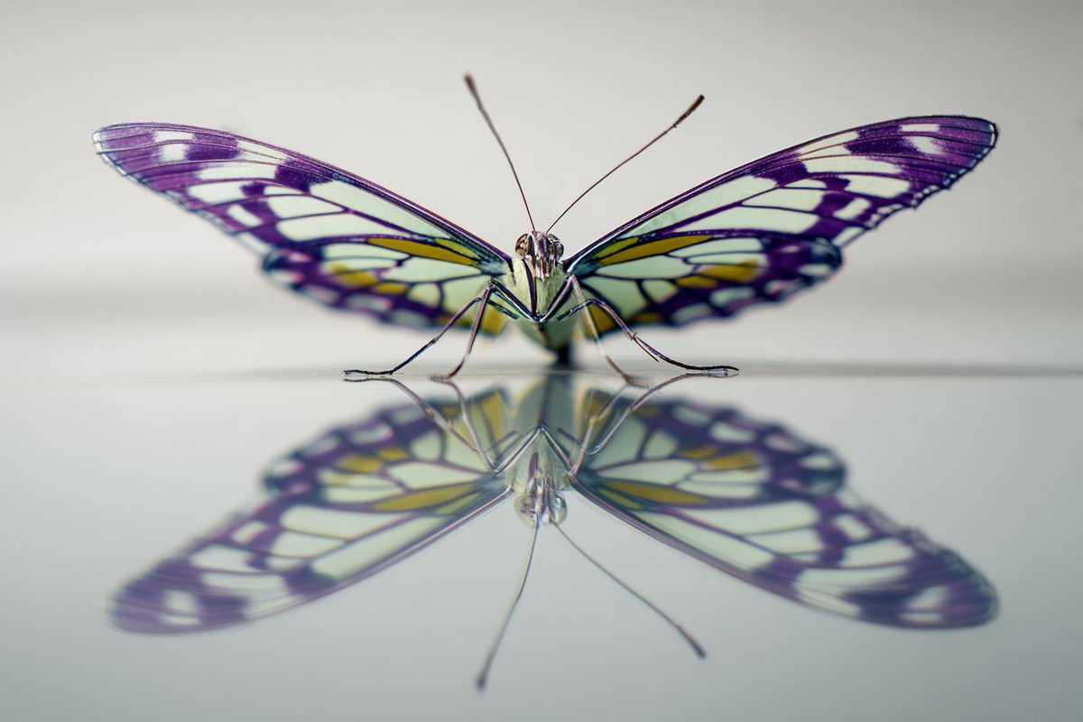 Mind-Bending Anamorphic Distortion in Color