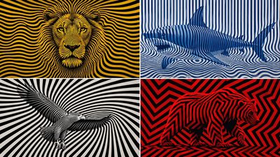 Hidden geometric patterns emerge from stark contrasting Op Art illusions