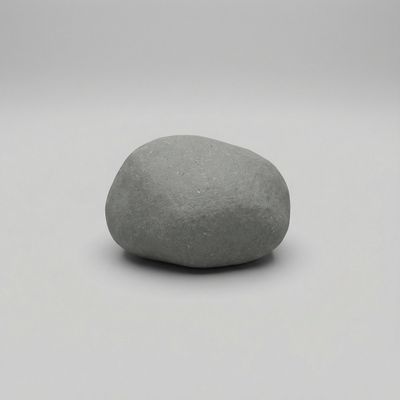 The Unassuming Star: A Rock's Quiet Moment