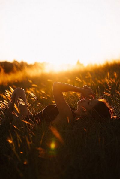 Serenity in Golden Grasses