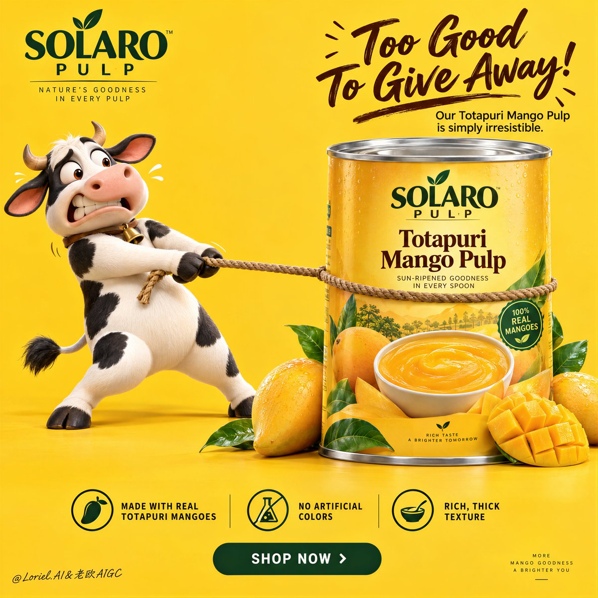 Cow strains backward on taut rope while giant mango can stands firm