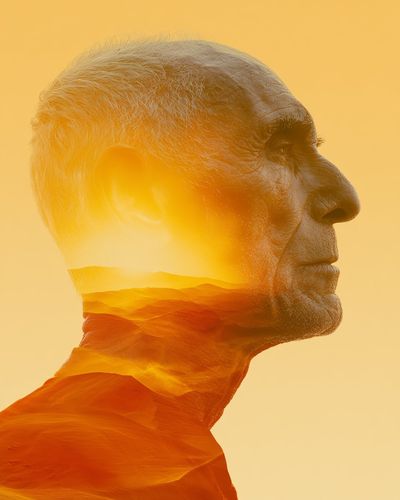 Illusion of the Desert: A Portrait in Heat