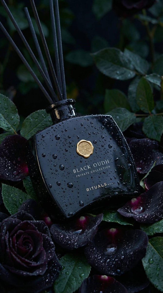 Elegance in Every Drop: Black Oud Perfume Photography