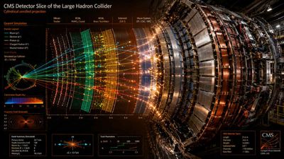 Unveiling the CMS: A Journey Through Particle Physics
