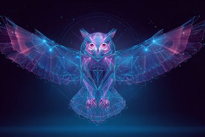 Cosmic Neon Network