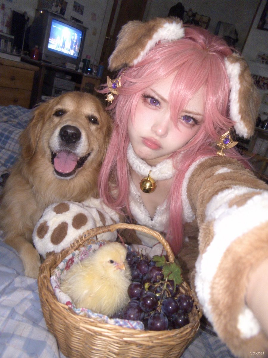 Girl in dog costume selfies with golden retriever and chick in old Nokia shot