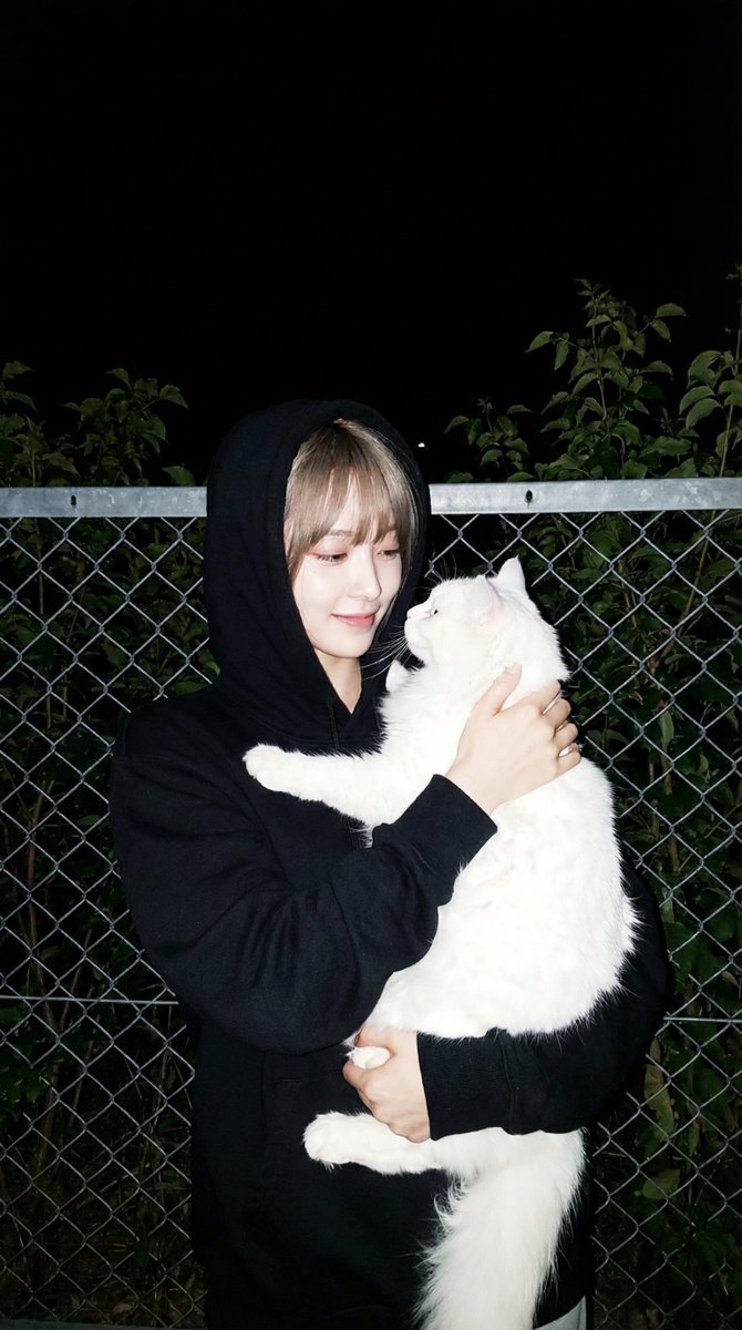 Candid Affection: A Night with Feline Love