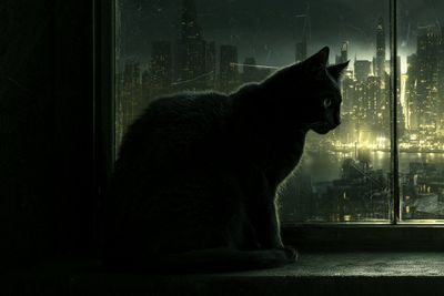 Shadows of the City: A Film Noir Odyssey