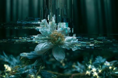 Visual Symphony of Fragmented Echoes