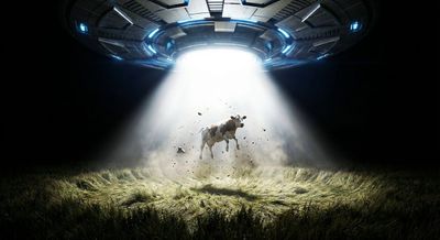 The Tractor Beam in Action