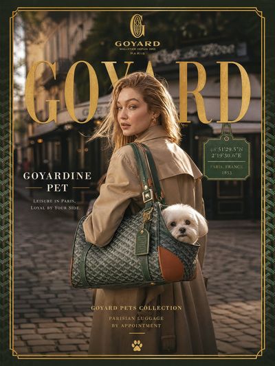 Gigi Hadid Showcases Luxury Goyardine Pet Carrier on Parisian Cobblestones