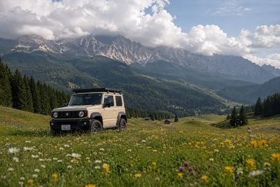 A cream Suzuki Jimny rests in a vast alpine flower meadow.