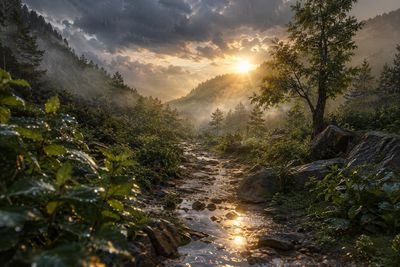 Golden sunrise breaks through rain clouds over a misty forest valley