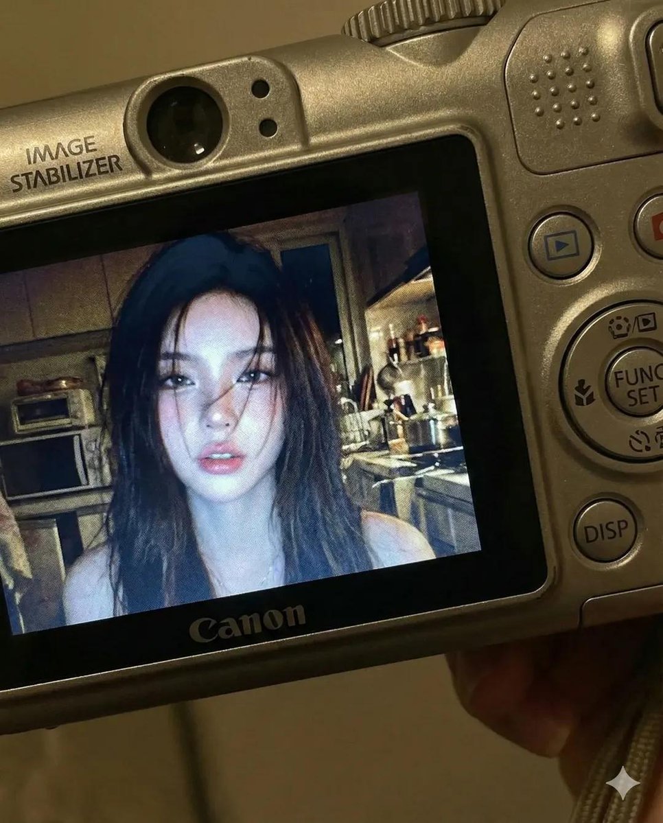 Nostalgic Glimpses: A Digital Flashback