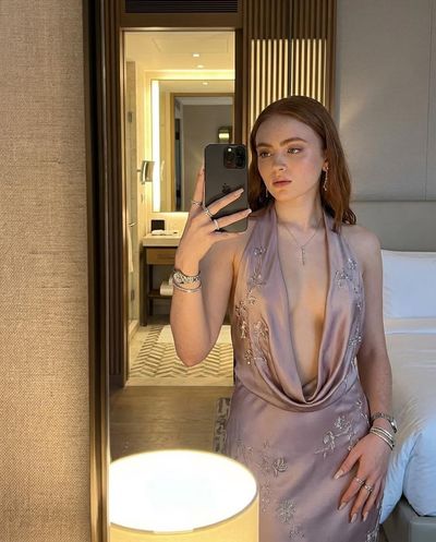 Elegant Mirror Selfie in Mauve Silk with Intricate Silver Embroidery