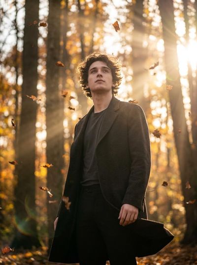 Golden Autumn Contemplation in Cinematic Detail