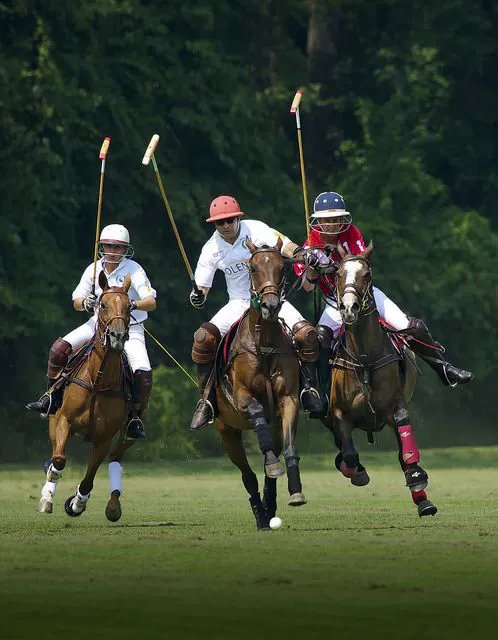 Three polo players charge across a lush green field