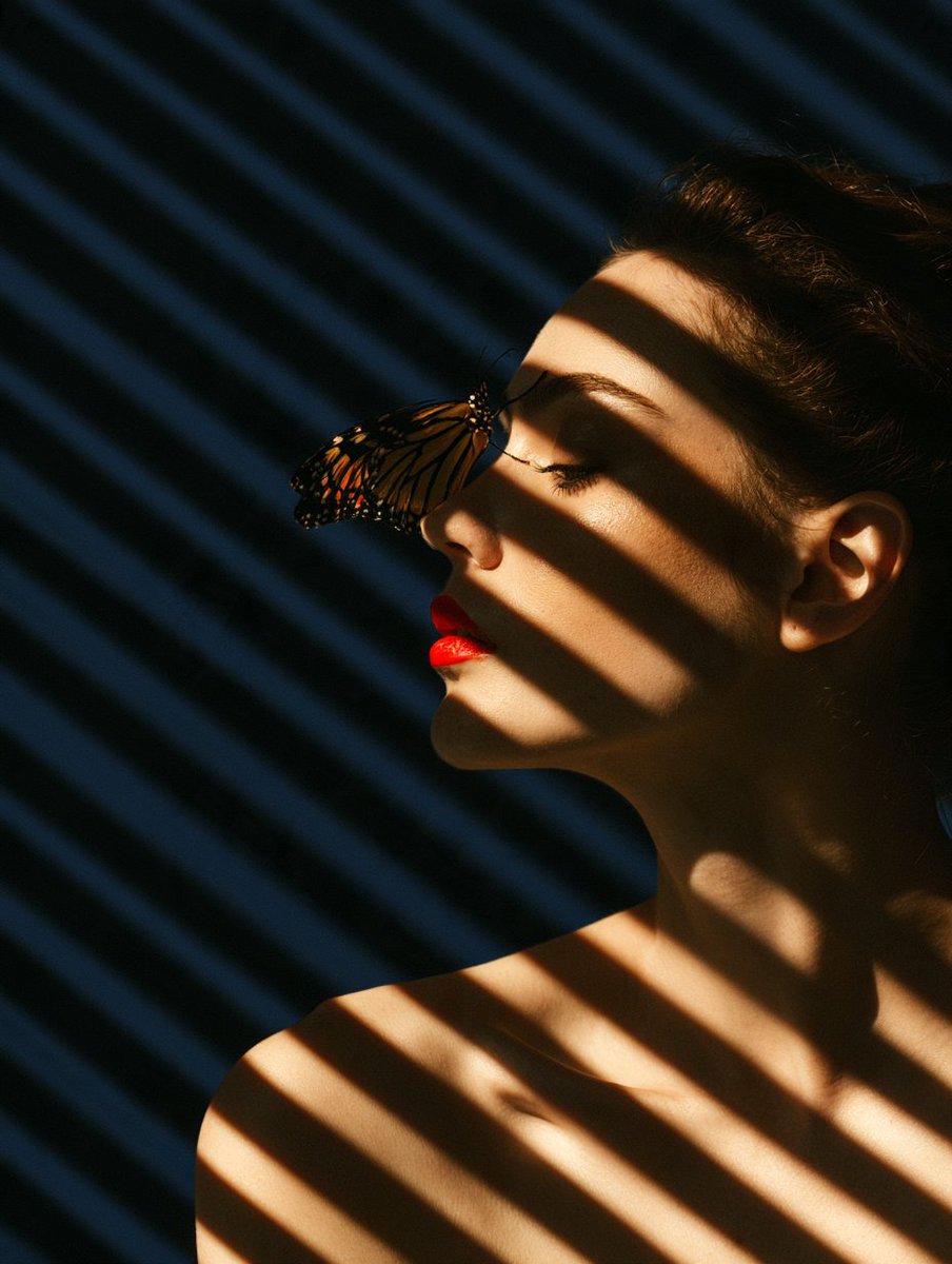 Monarch Butterfly Perched on Profile with Red Lipstick and Shadowed Stripes
