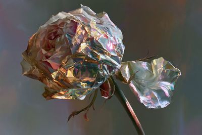 Mystical Reflections: A Surreal Holographic Journey