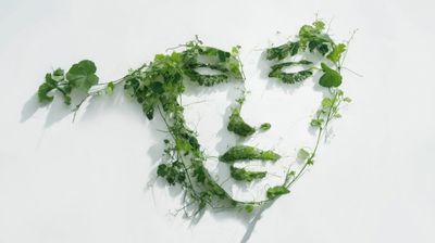Nature's Portrait: Grapevines in Harmony