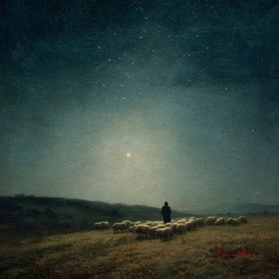 Guardian of the Night: A Shepherd's Solitude