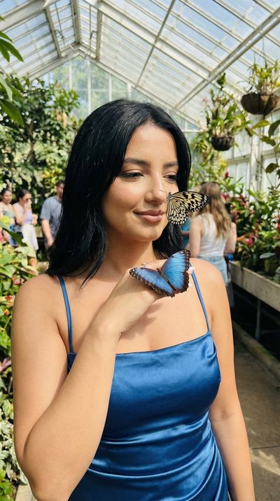 Whispers of Nature: A Butterfly's Embrace