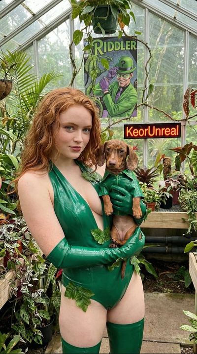 Superheroes and Their Adorable Pets: A Villainous Twist
