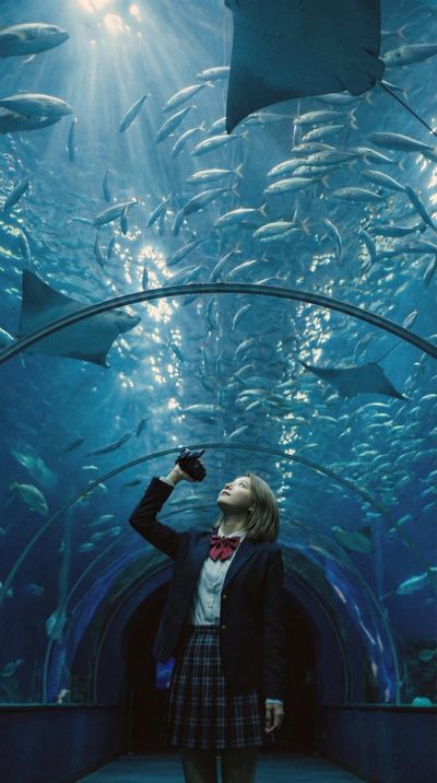 Oceanic Elegance Meets Digital Reality