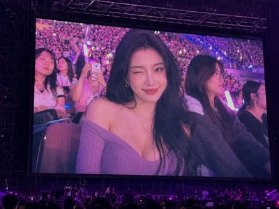 Capturing the Moment: A Concert Fan's Delight