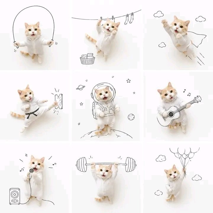 Fluffy orange kitten explores nine whimsical adventures in scrapbook style