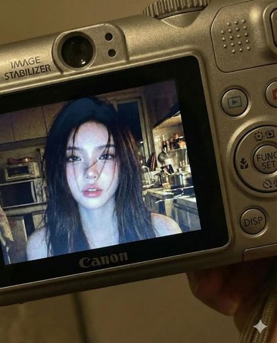 Nostalgic Glimpses: A Digital Flashback