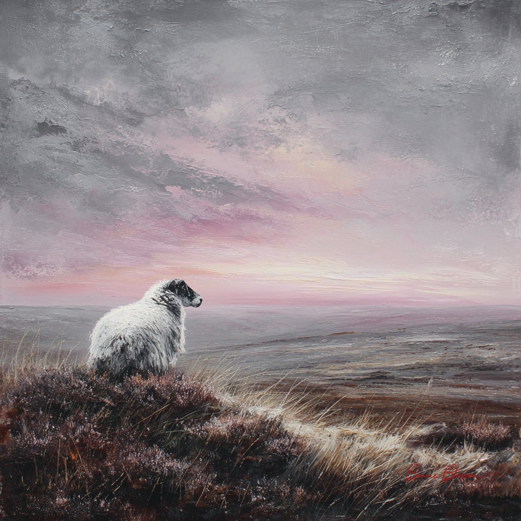 Lone sheep stands buried in heather on misty windswept moor