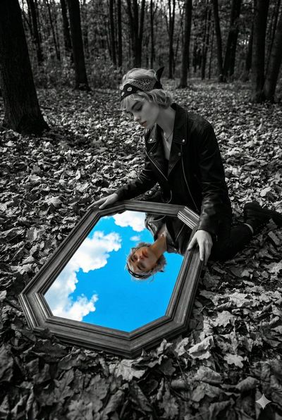 Surreal Reflections: A Forest of Contrast