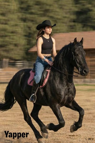 Modern Cowboy Elegance