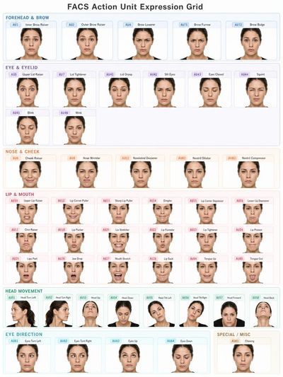 Comprehensive FACS Action Unit Grid for Realistic Expressions