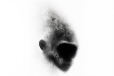 A ghostly monkey head dissolves into a white void