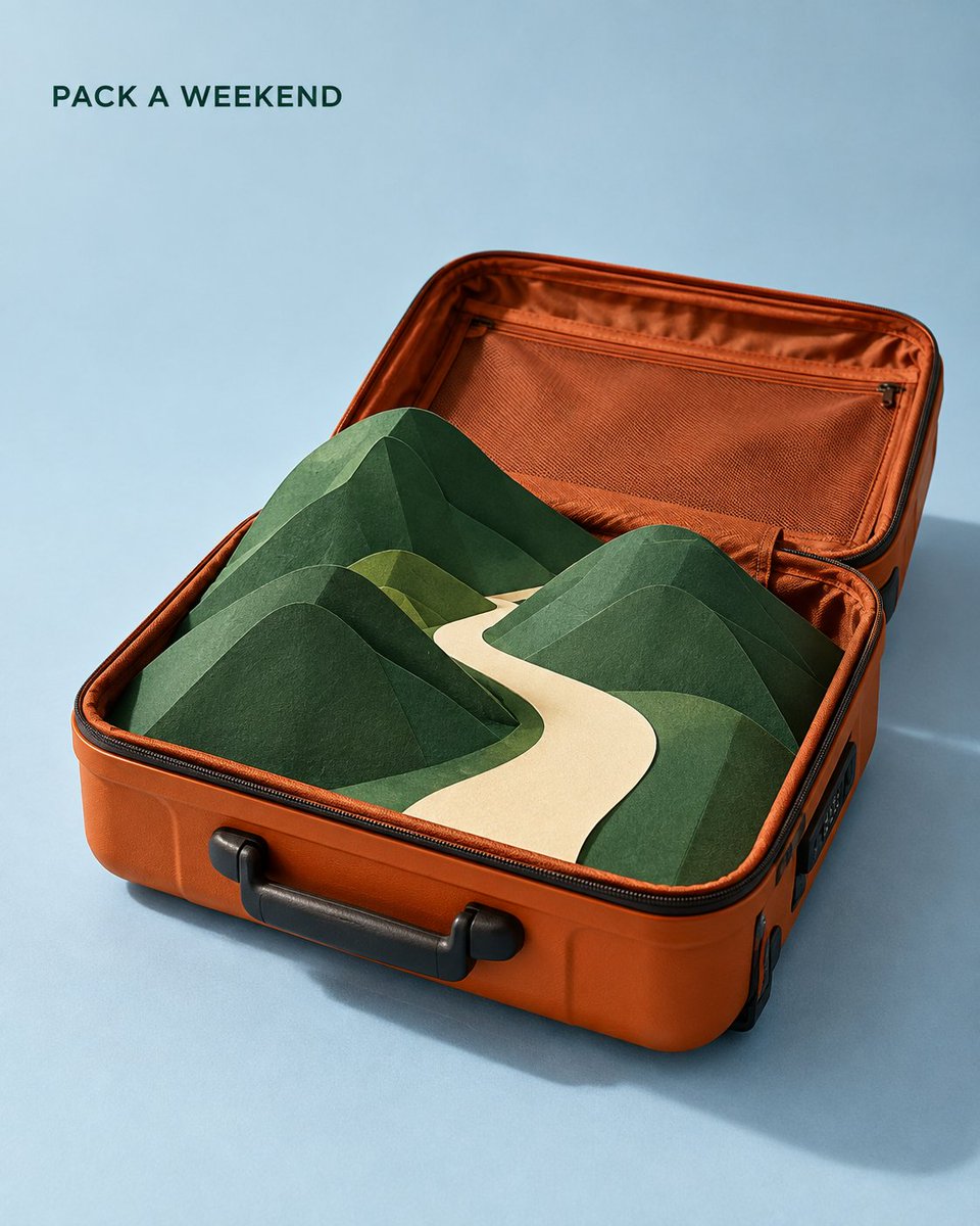 Miniature Paper Forest Rises From Open Burnt Orange Suitcase