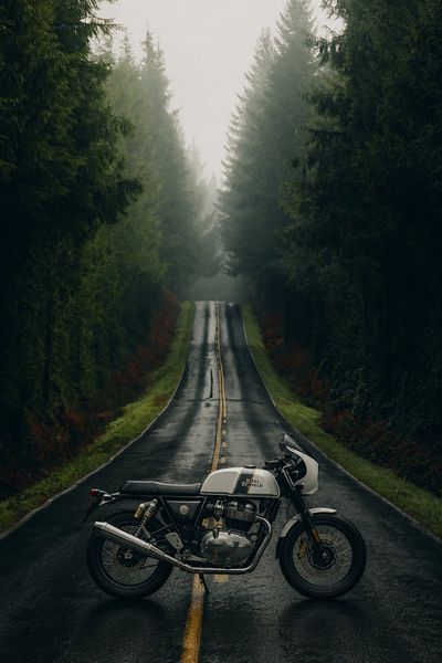 White Royal Enfield GT 650 centers wet road through misty pine forest.