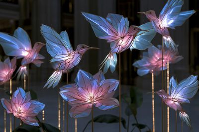 Illuminated Eden: The Quantum LED Garden