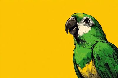 Vibrant Retro Pop Hero