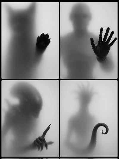 Shadows Behind Frost: A Monochrome Mystery